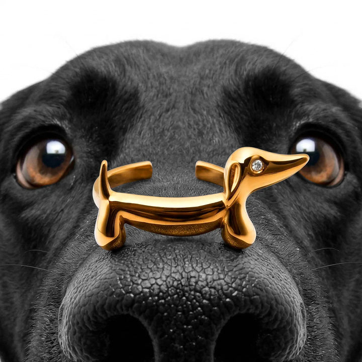 Haute Dog Ring