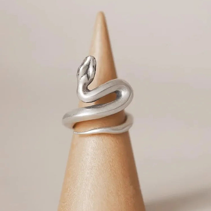 Silver Coil Ring