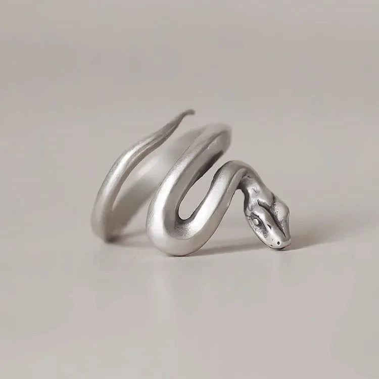 Silver Coil Ring