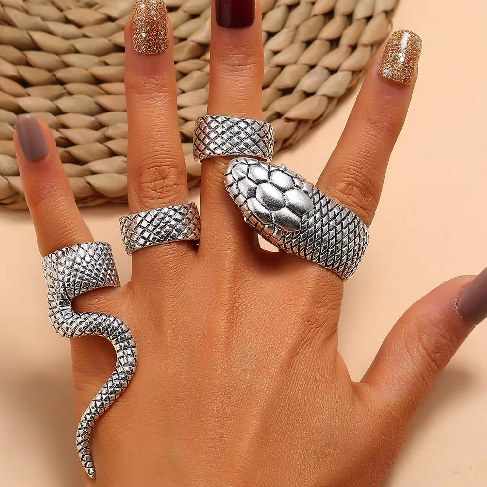 Scaled Stack Ring Set
